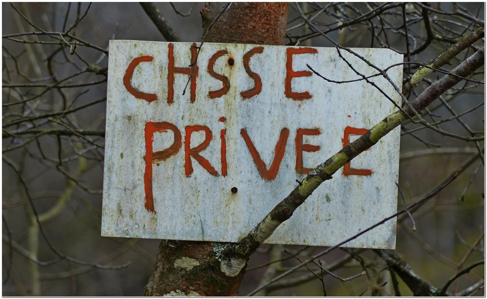 Chasse privee a1