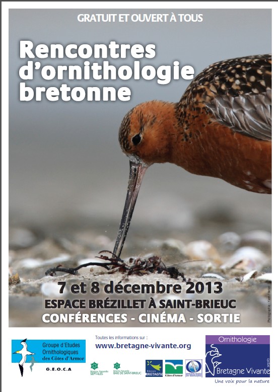 rencontres ornithologiques bretonnes site de rencontre sérieux gabon